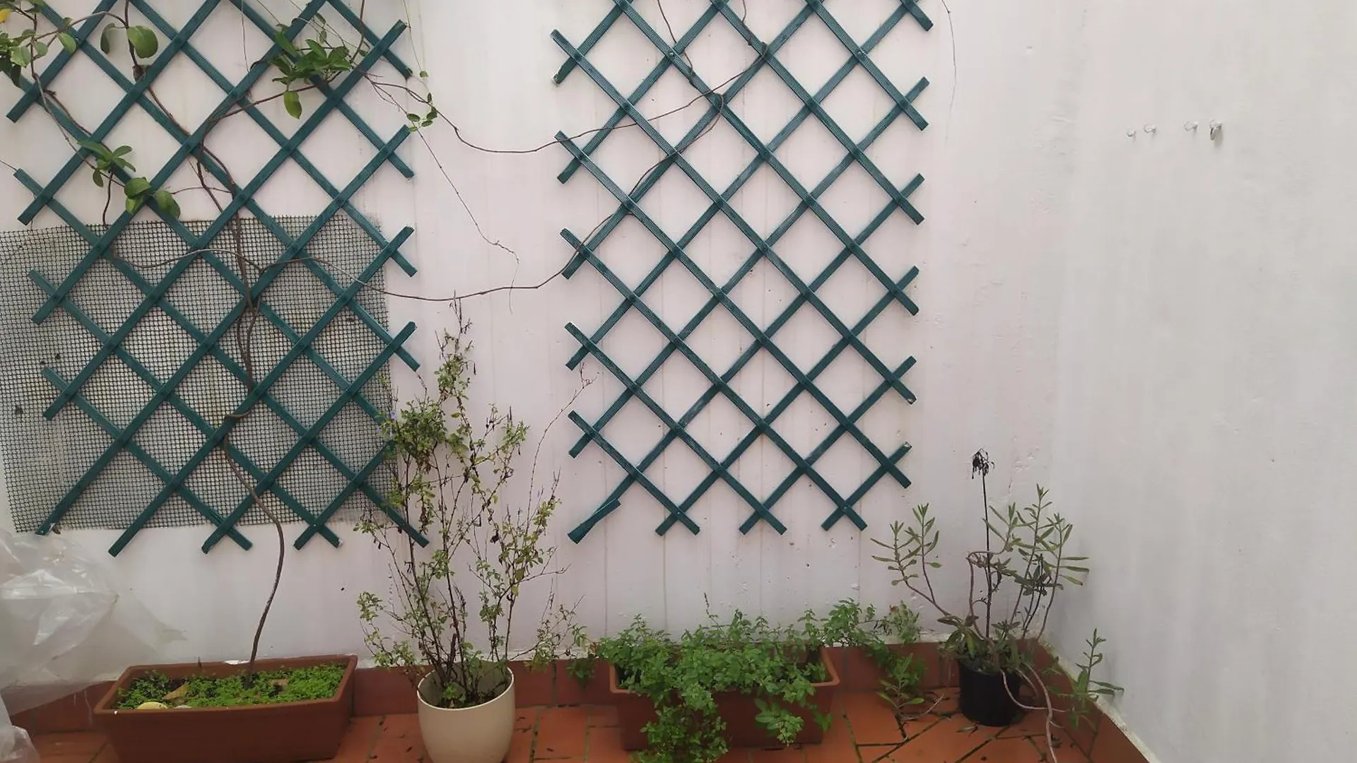 Casa Villa Duque El Bosque Holiday home